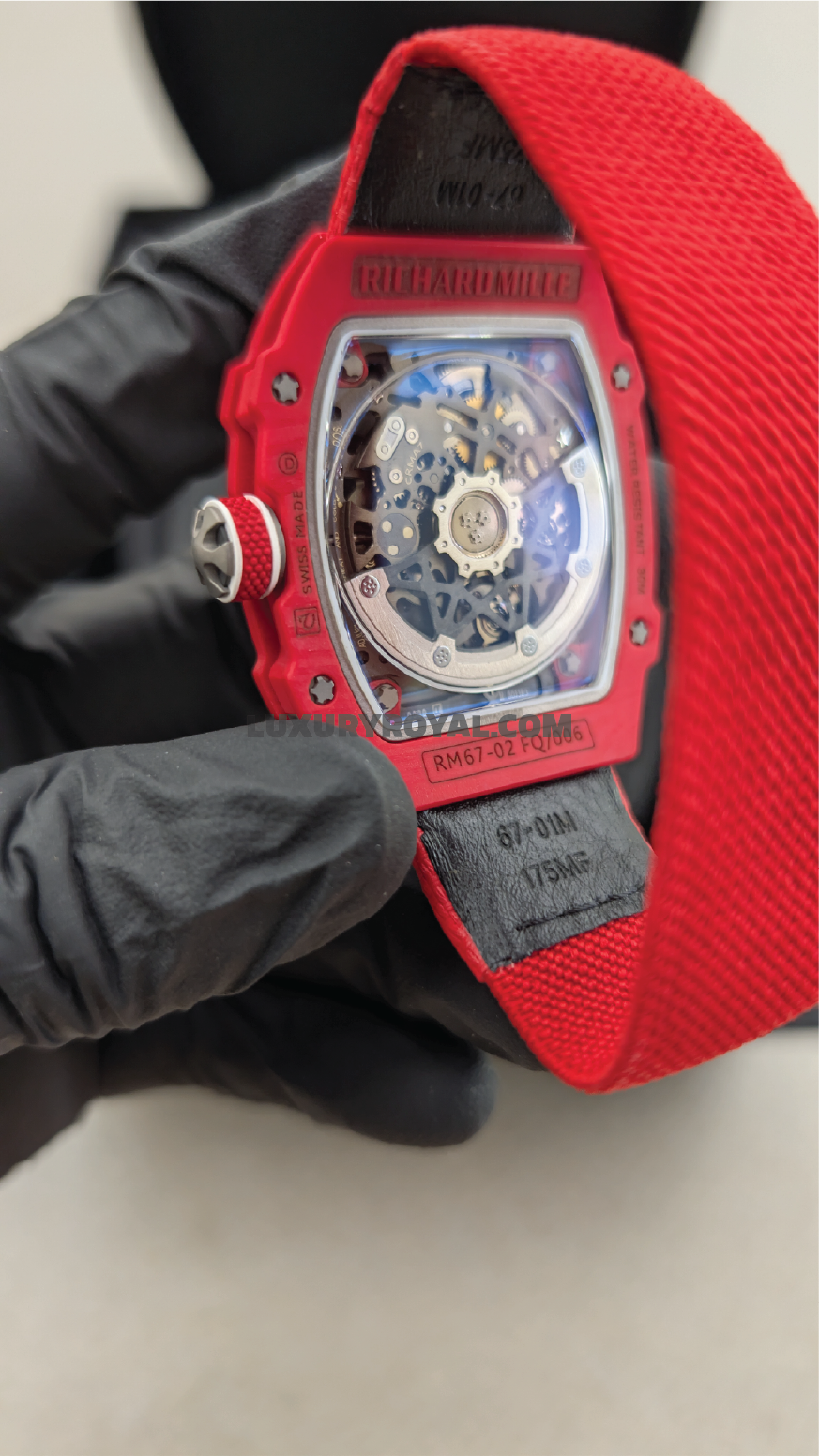 RICHARD MILLE 67-02 Sebastien Buemi Prototype